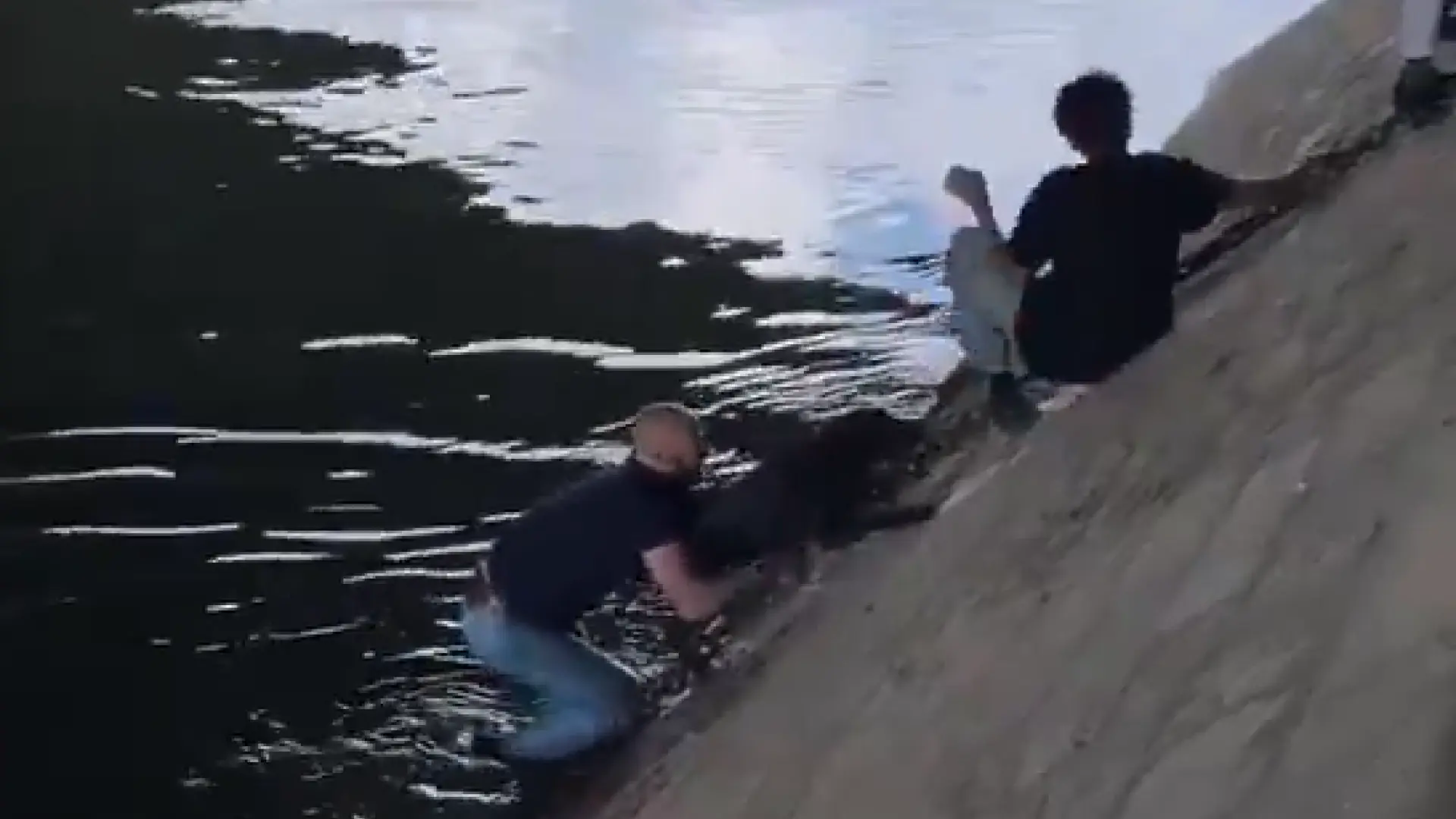 Un perro negro lucha por mantenerse a flote en el río Sena mientras personas lo observan con preocupación