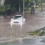 Imagen de un robotaxi de Waymo en una ciudad con una carretera al fondo