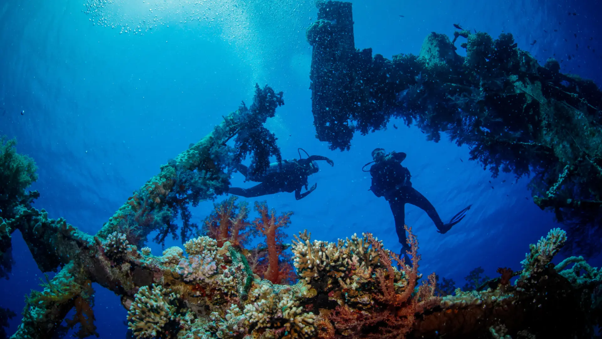 Imagen de archivo de personas practicando buceo en aguas cristalinas de Maldivas