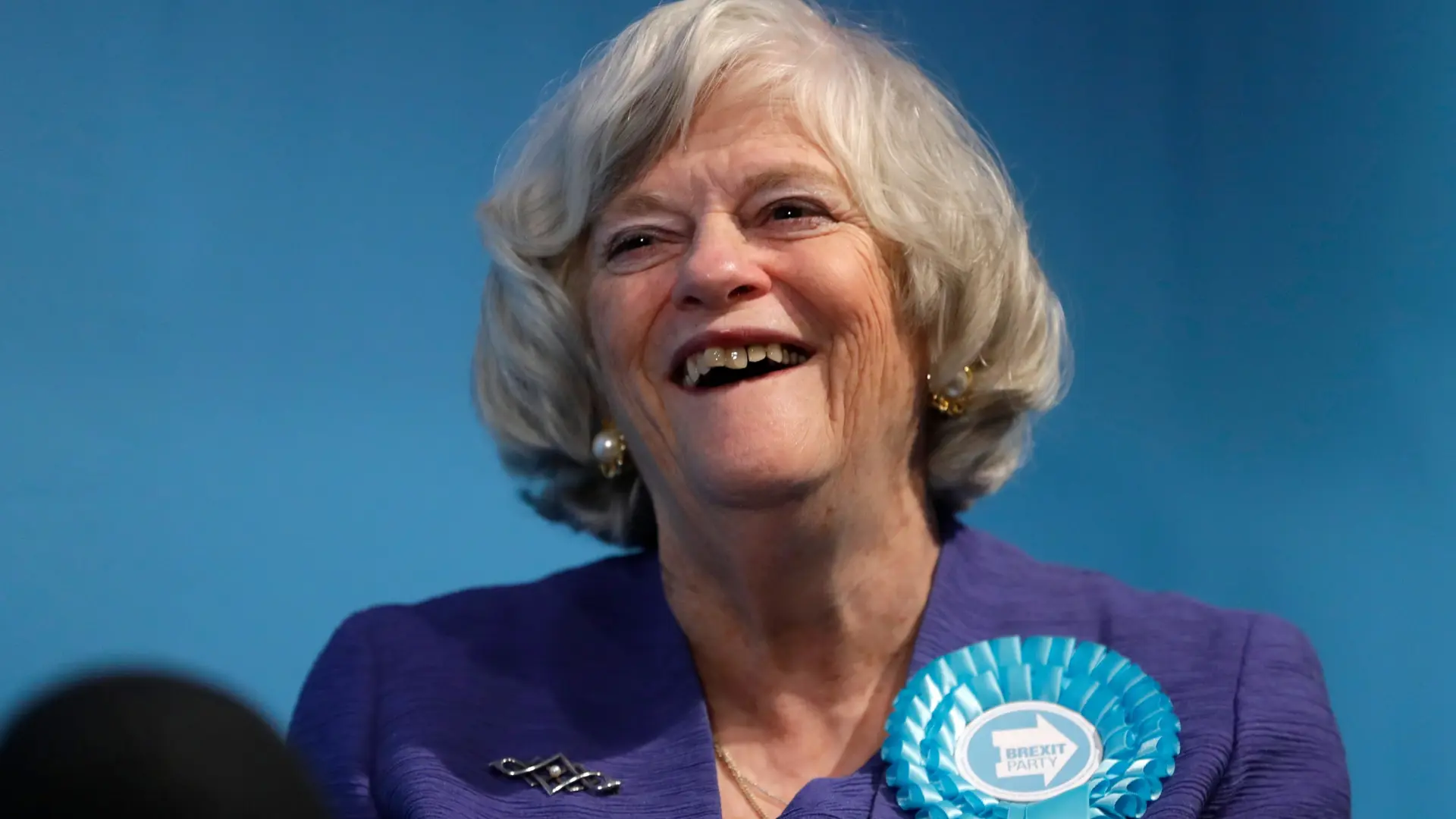 Retrato de Ann Widdecombe en su trayectoria política y mediática, contexto del asesinato investigado por terrorismo
